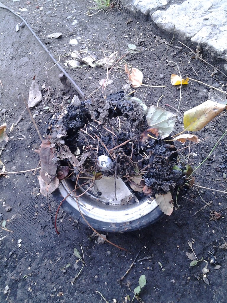 В жилом доме на улице Варейкиса подожгли детский велосипед Улпресса - все  новости Ульяновска