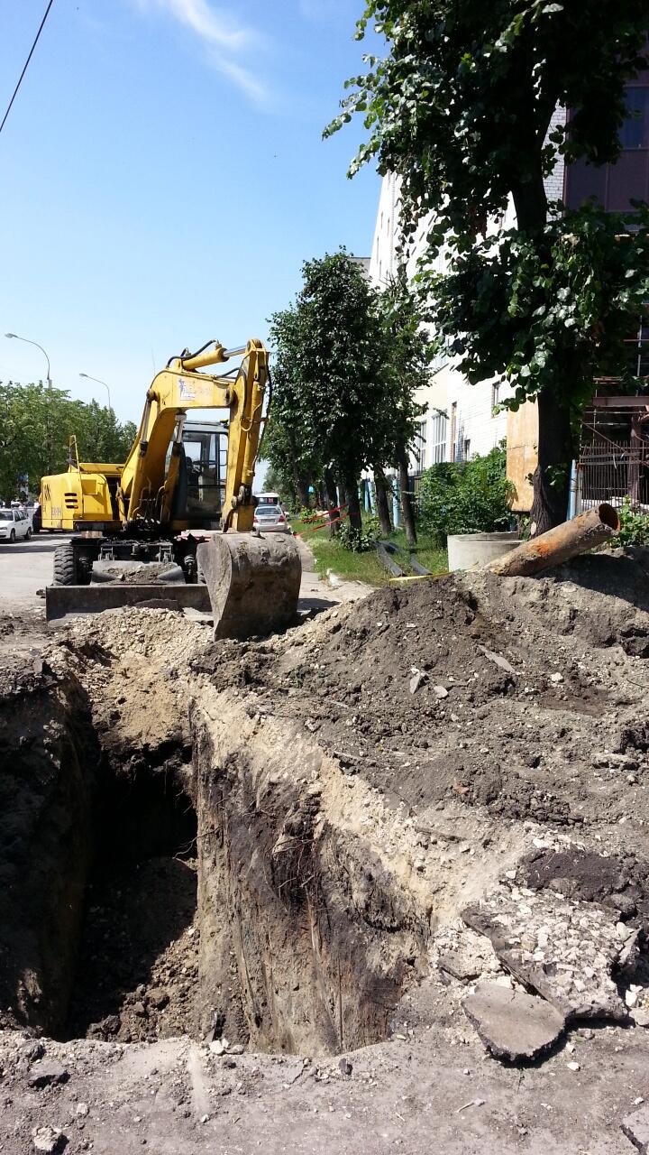 Стадион “Спартак”. Убийство деревьев продолжается Улпресса - все новости  Ульяновска