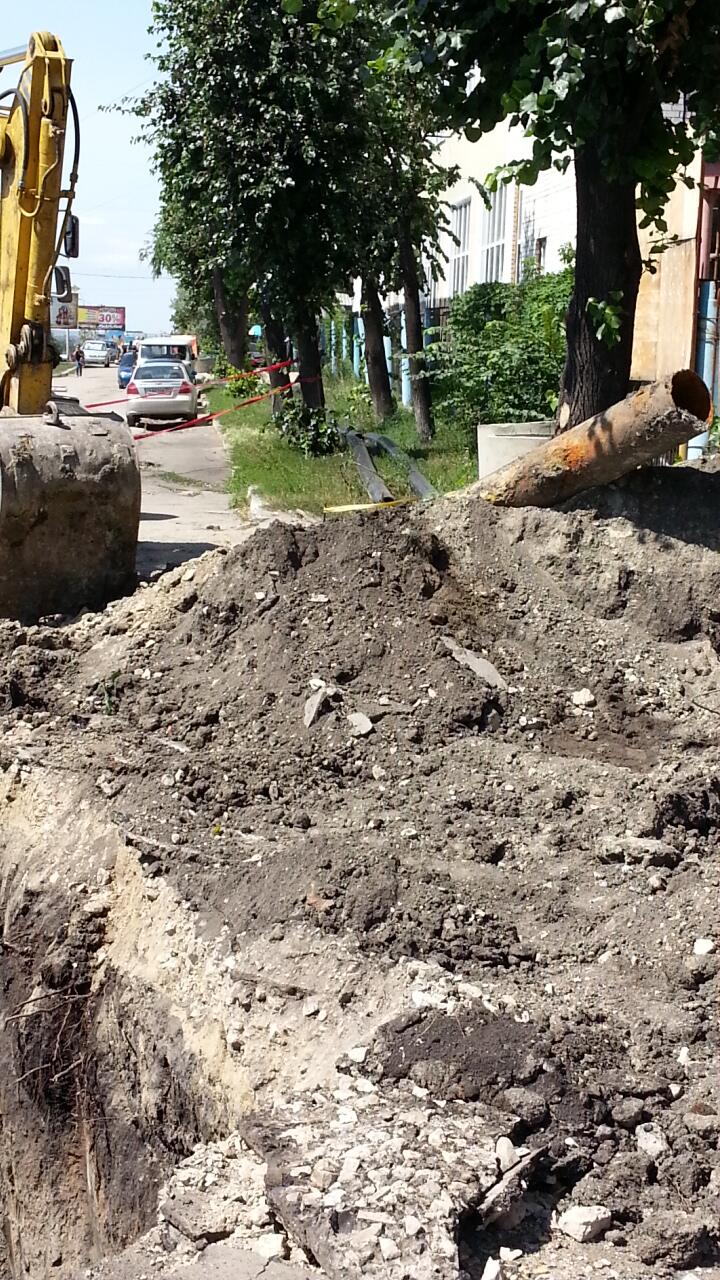 Стадион “Спартак”. Убийство деревьев продолжается Улпресса - все новости  Ульяновска