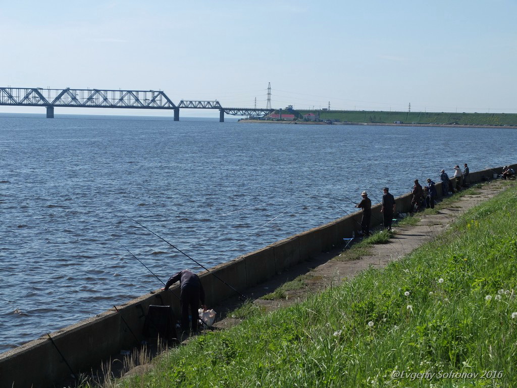 Главное место ульяновской рыбалки. Евгений СОФРОНОВ c фотопрогулкой на  знаменитую “Рылейку” Улпресса - все новости Ульяновска