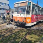 Тізеге дейін үлкен мүше