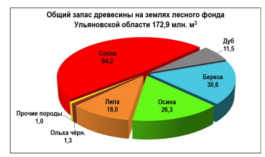 Запасы древесины в мире