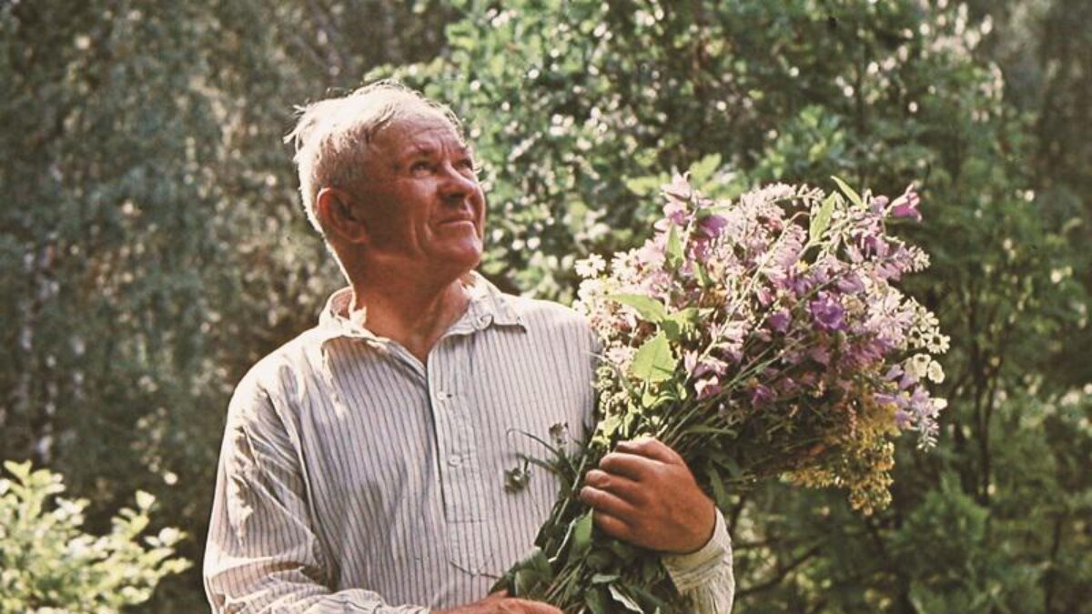 А а пластов. Аркадий Александрович пластов. Аркадия Александровича Пластова. А.А. пластов 1893-1972. Аркадий пластов Прислониха.