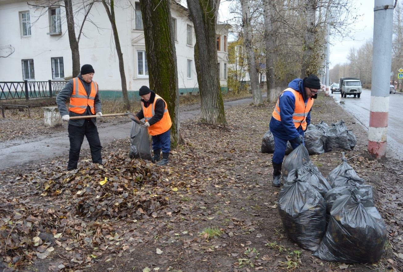 Санитарная очистка населенных мест. Санитарная очистка города. Мигранты убирают листья.