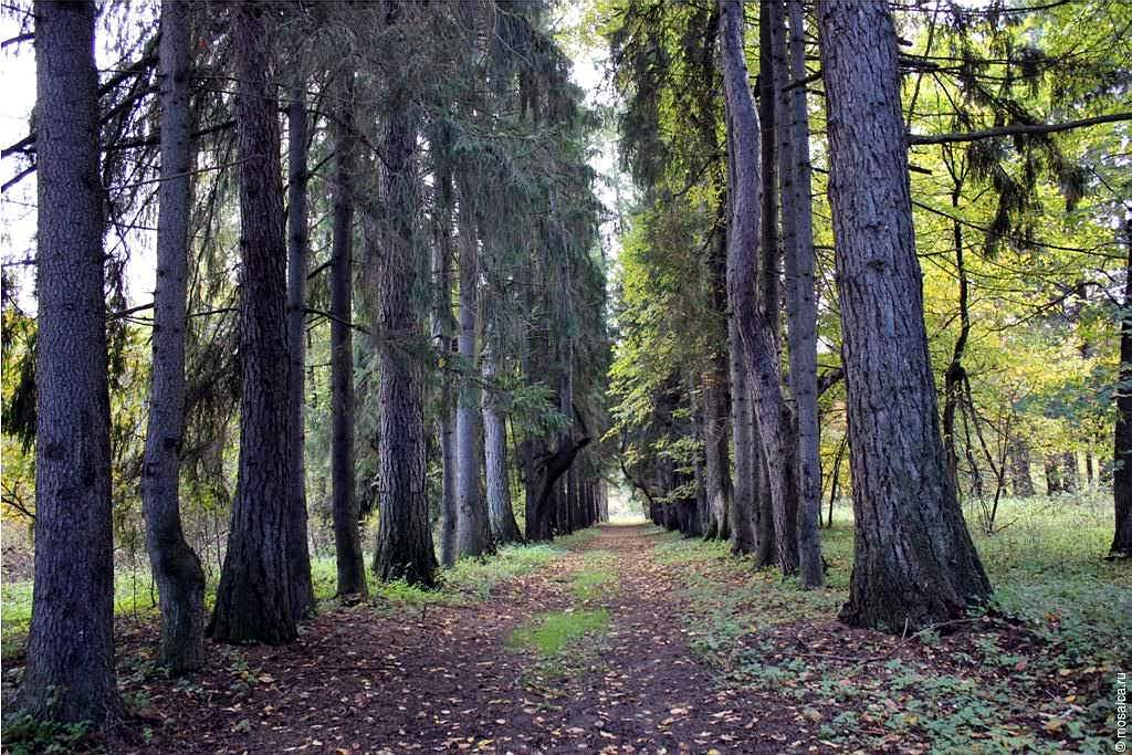 Акшуатский дендропарк фото