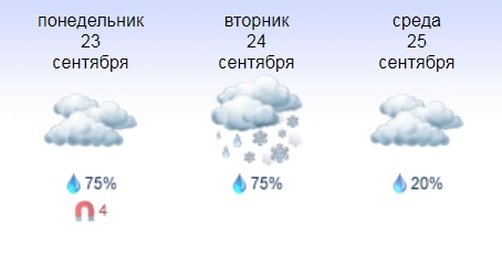 Погода вешкайма карта осадков