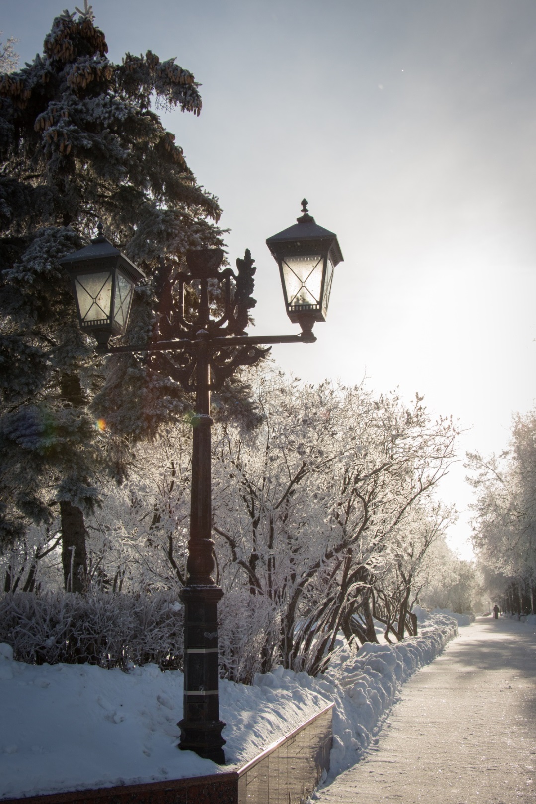 Инди ульяновск. Солнечная зима в городе. Одинокий фонарь зимой. Солнечный зимний день в городе фото. Ажурный фонарь ф зимнем парке.