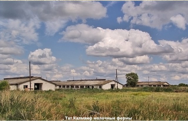 Индекс села воскресенское. Село Боровка. Боровка Ульяновская область. СААХОЗ село. Индекс село Самарское.