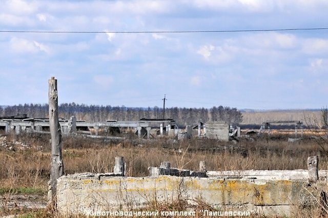 Индекс село. Лаишевка Ульяновская область. Село Лаишевка Ульяновская область. Совхоз САМАЙКИНСКИЙ Ульяновской. Станция Совхозный Ульяновская.