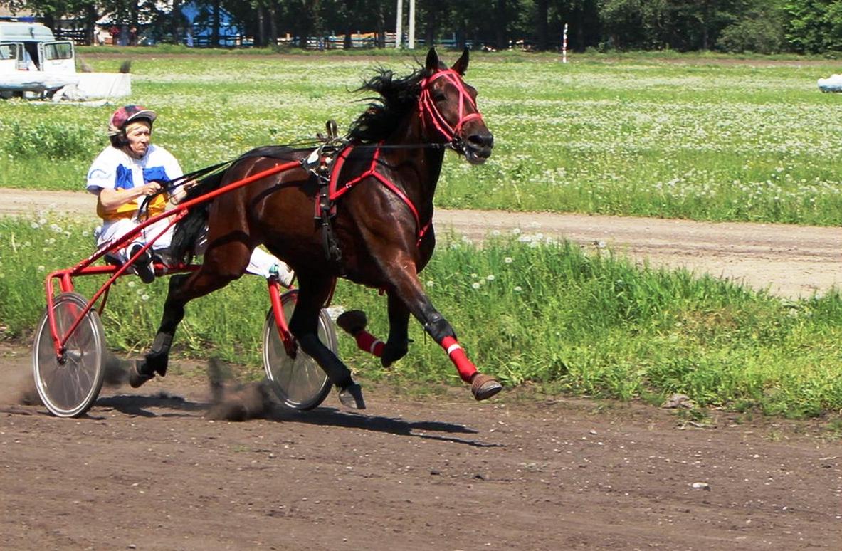 Остановка ипподром нижний новгород фото