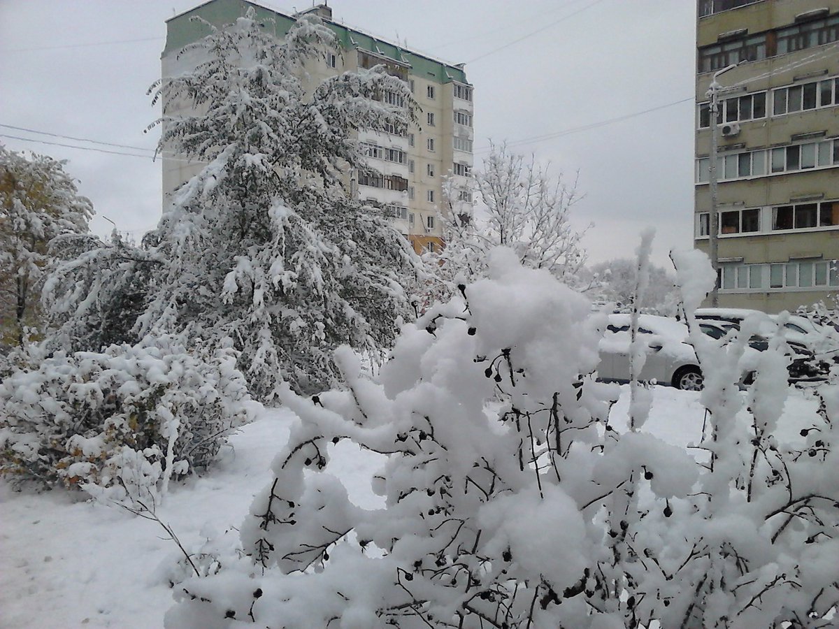 Прогноз сегодня димитровград