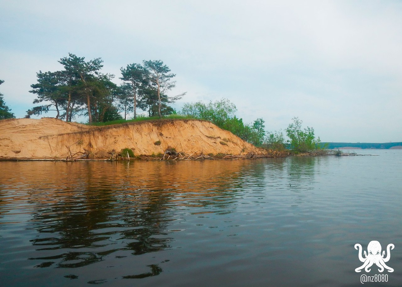 пальцинский остров ульяновск