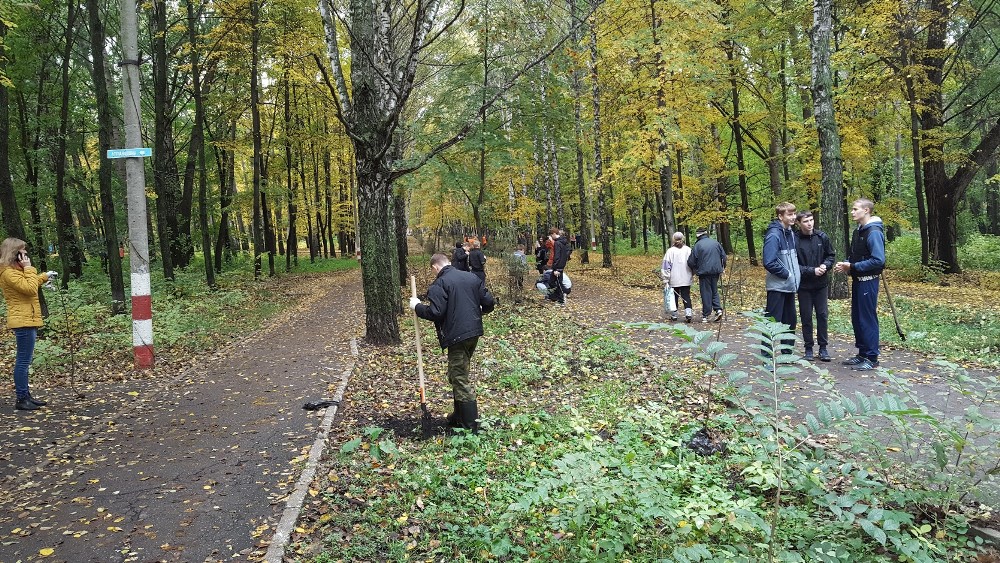 Парк молодежный ульяновск фото