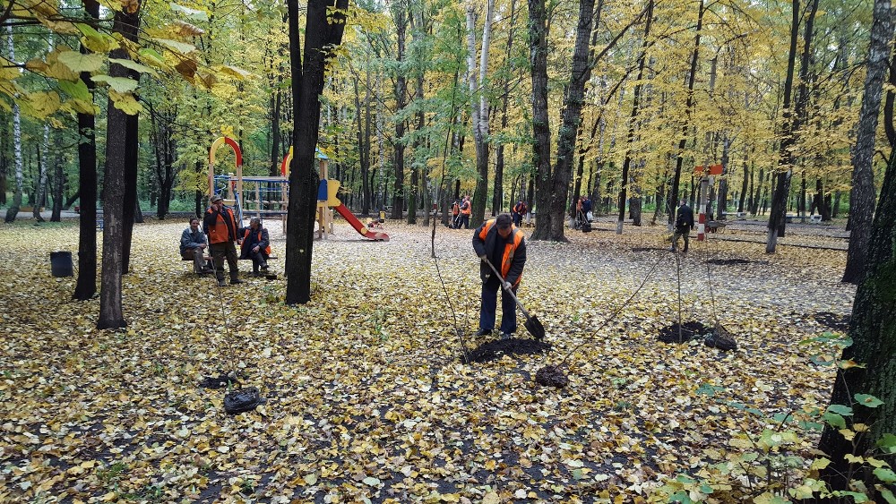 Парк молодежный ульяновск фото