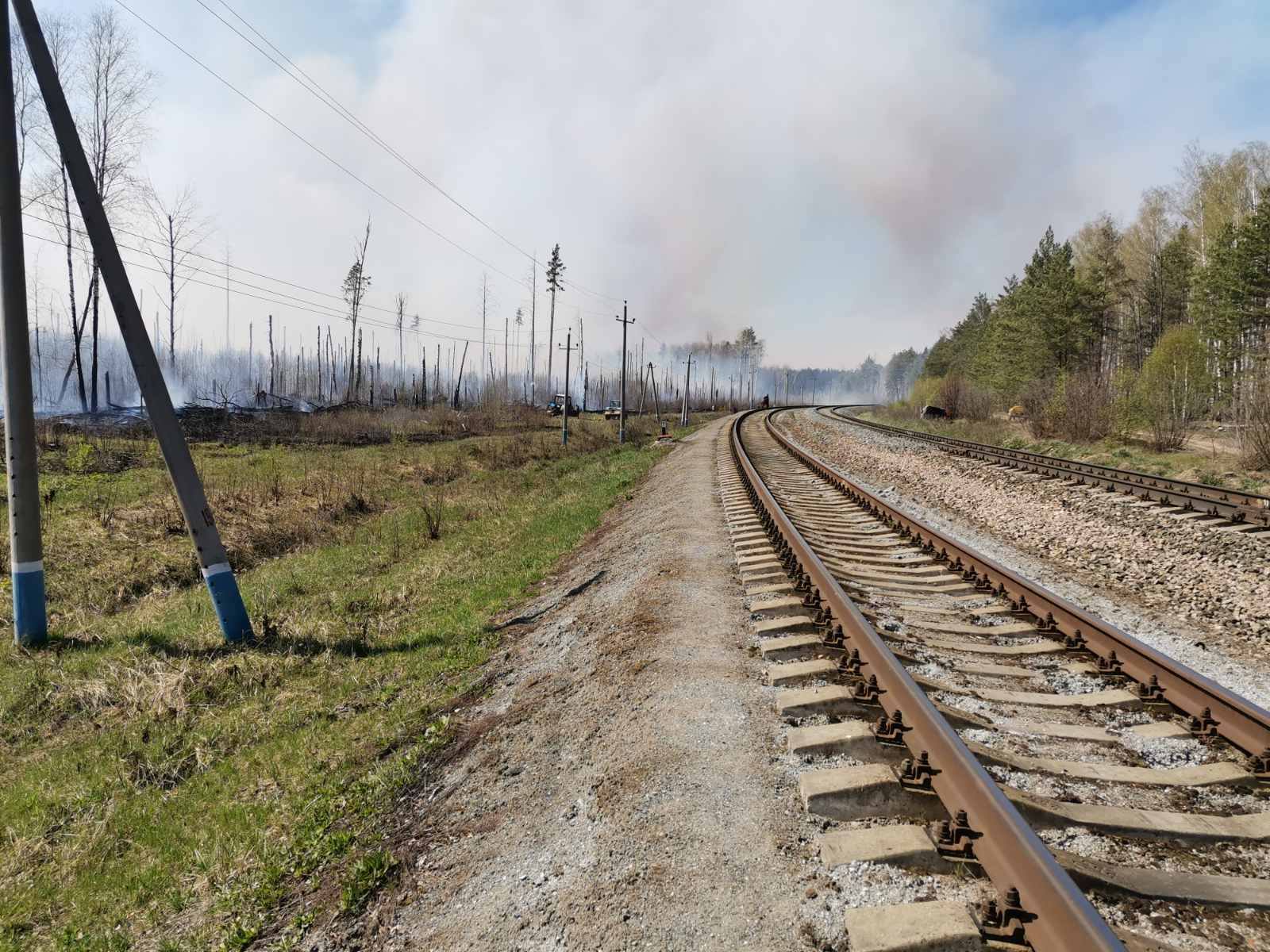 “Возгорание произошло от поезда, не оснащенного искрогасителем”. В  Минприроды назвали предварительные причины пожара в лесу Инзенского района  Улпресса - все новости Ульяновска