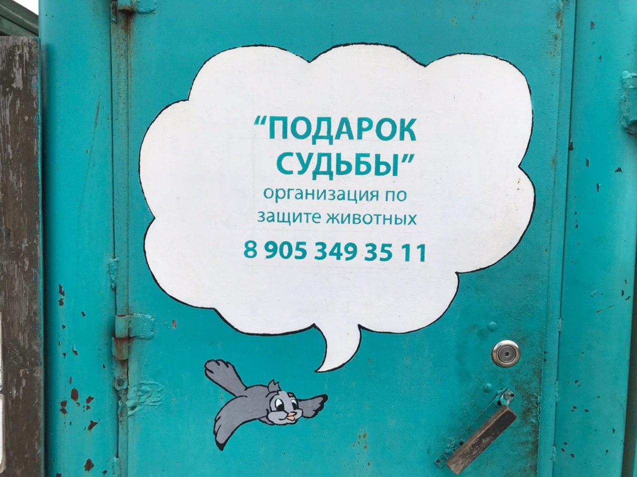 Приют для животных Ульяновск на Азовской
