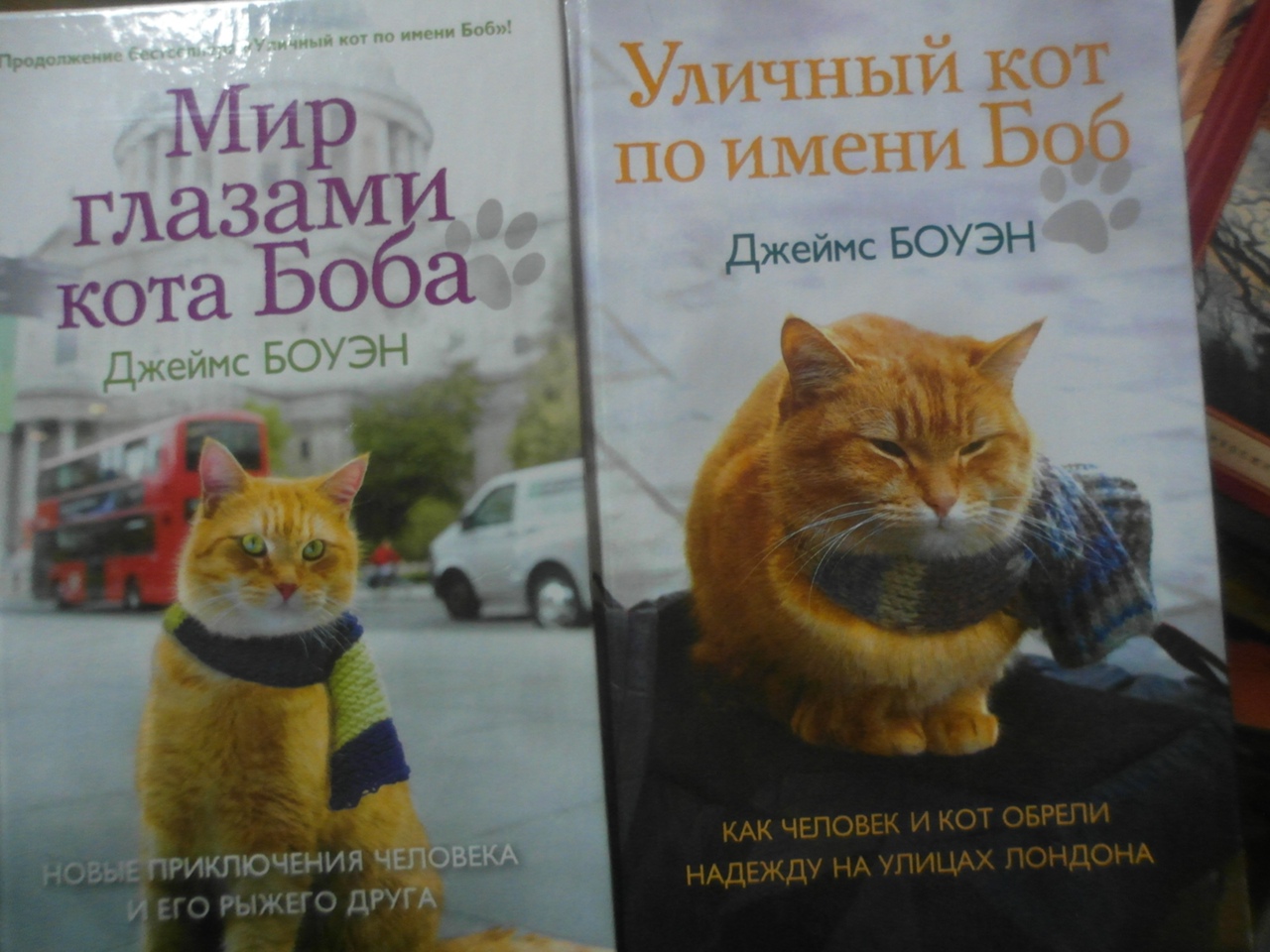 Книга глазами кота. Мир глазами кота Боба. Мир глазами кота Боба книга. Боуэн д. мир глазами кота Боба. Кот Боб памятник.