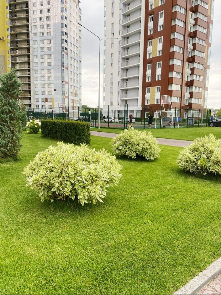 У реки в центре города за 3 года вырос ЖК европейского уровня Улпресса -  все новости Ульяновска