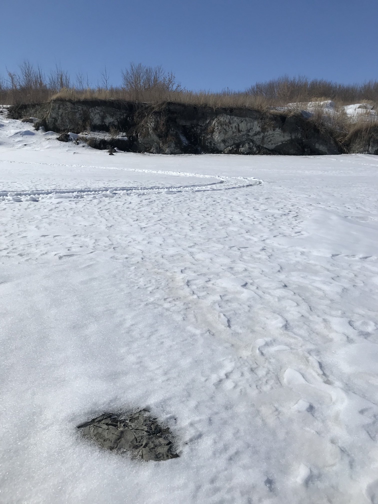 Уровень куйбышевского водохранилища в ульяновске на сегодня. Уровень Волги в Ульяновске.