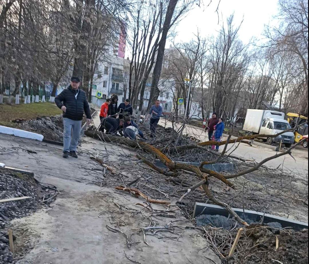 В Железнодорожном районе из-за сильного ветра на ребенка упало дерево: фото  Улпресса - все новости Ульяновска