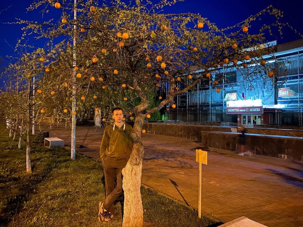 Поллок – отстой”. Рассказываем, кто и для чего развесил на деревьях в  центре Ульяновска апельсины, лимоны и морковь Улпресса - все новости  Ульяновска