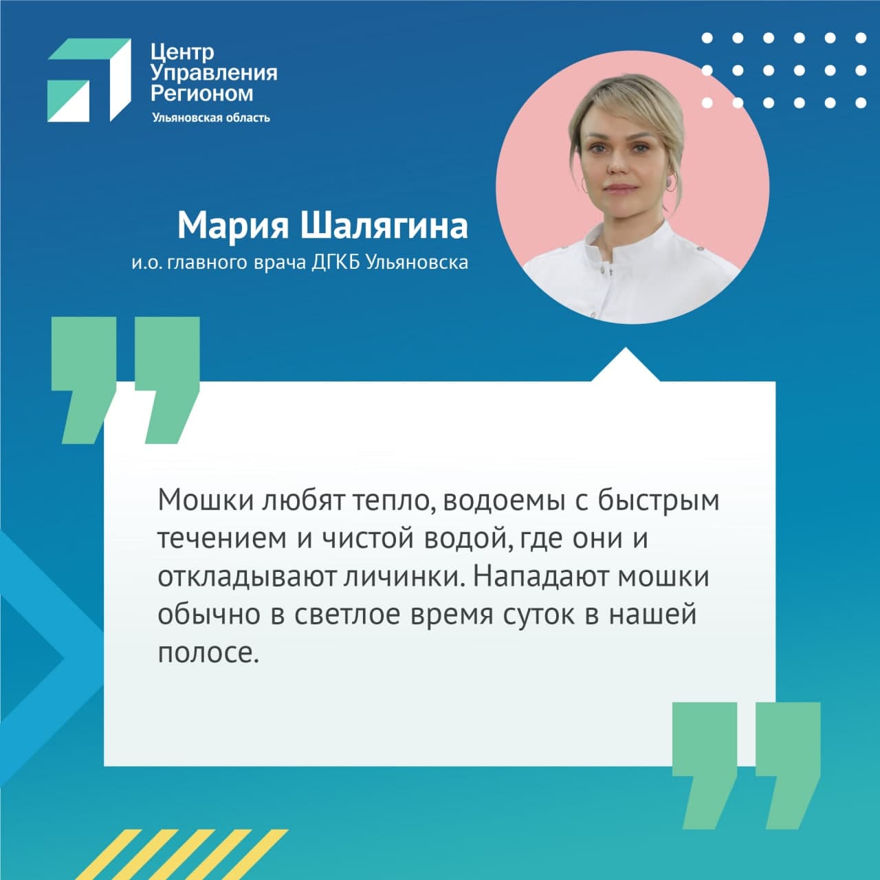 В ЦУР рассказали, как спастись от озверевших мошек Улпресса - все новости  Ульяновска