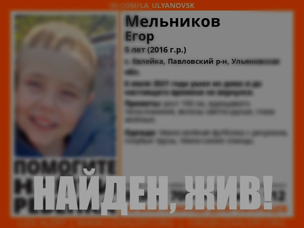 Пошел гулять и заблудился в лесу”. Пропавшего 5-летнего мальчика нашли  волонтеры Улпресса - все новости Ульяновска