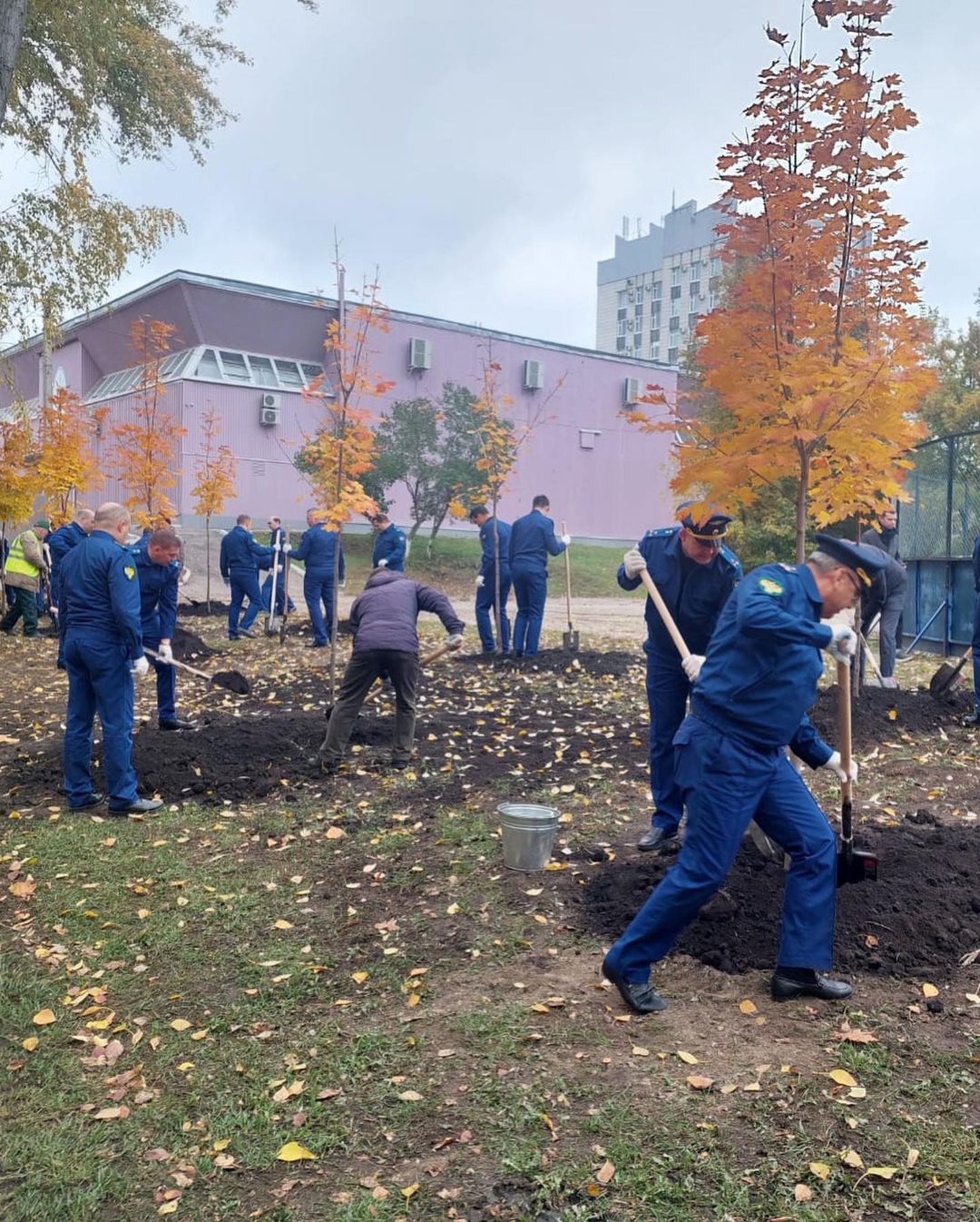 парк матросова ульяновск