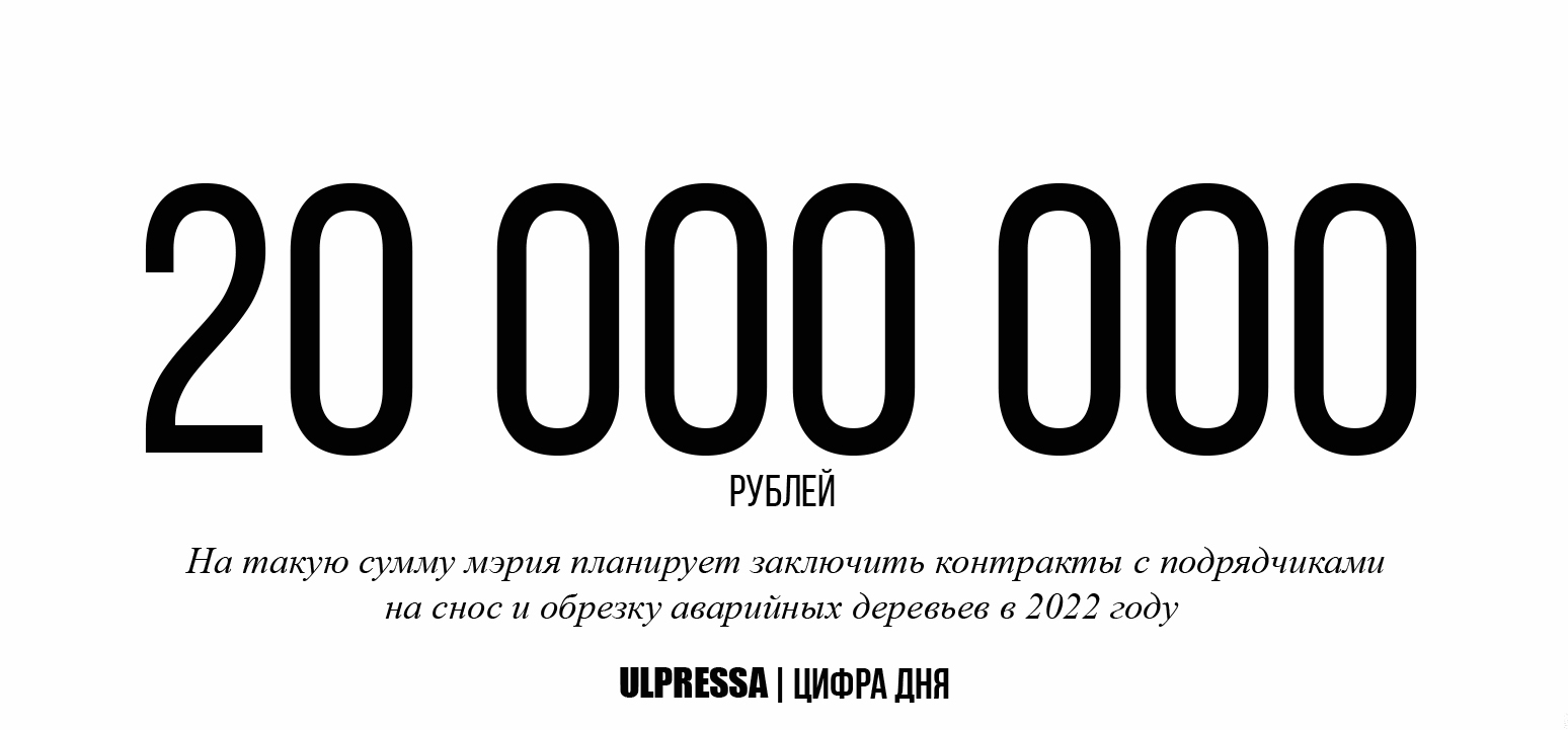 На снос деревьев начали привлекать частников. О ходе и объемах работ  Улпресса - все новости Ульяновска