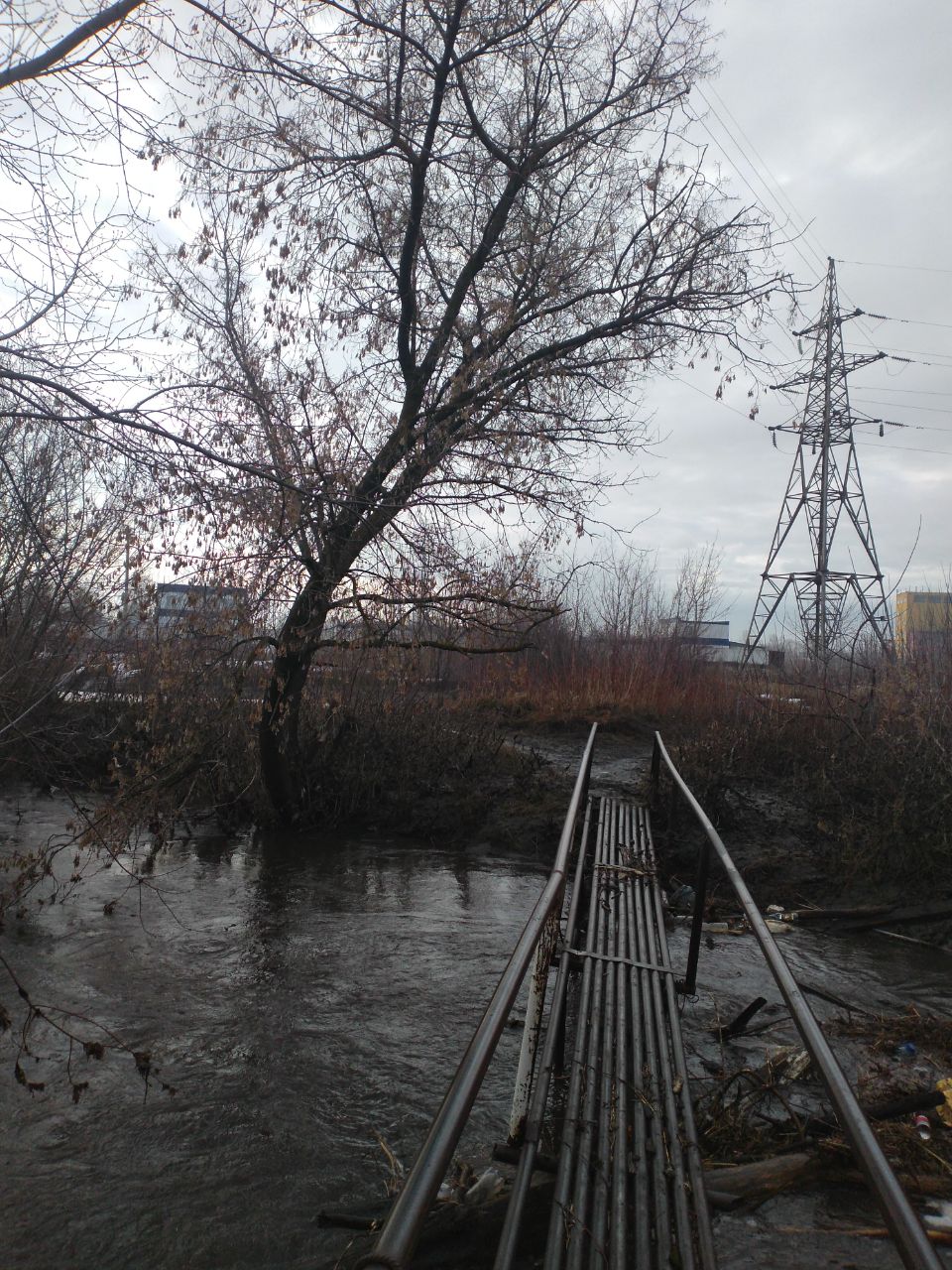 река свияга в ульяновске