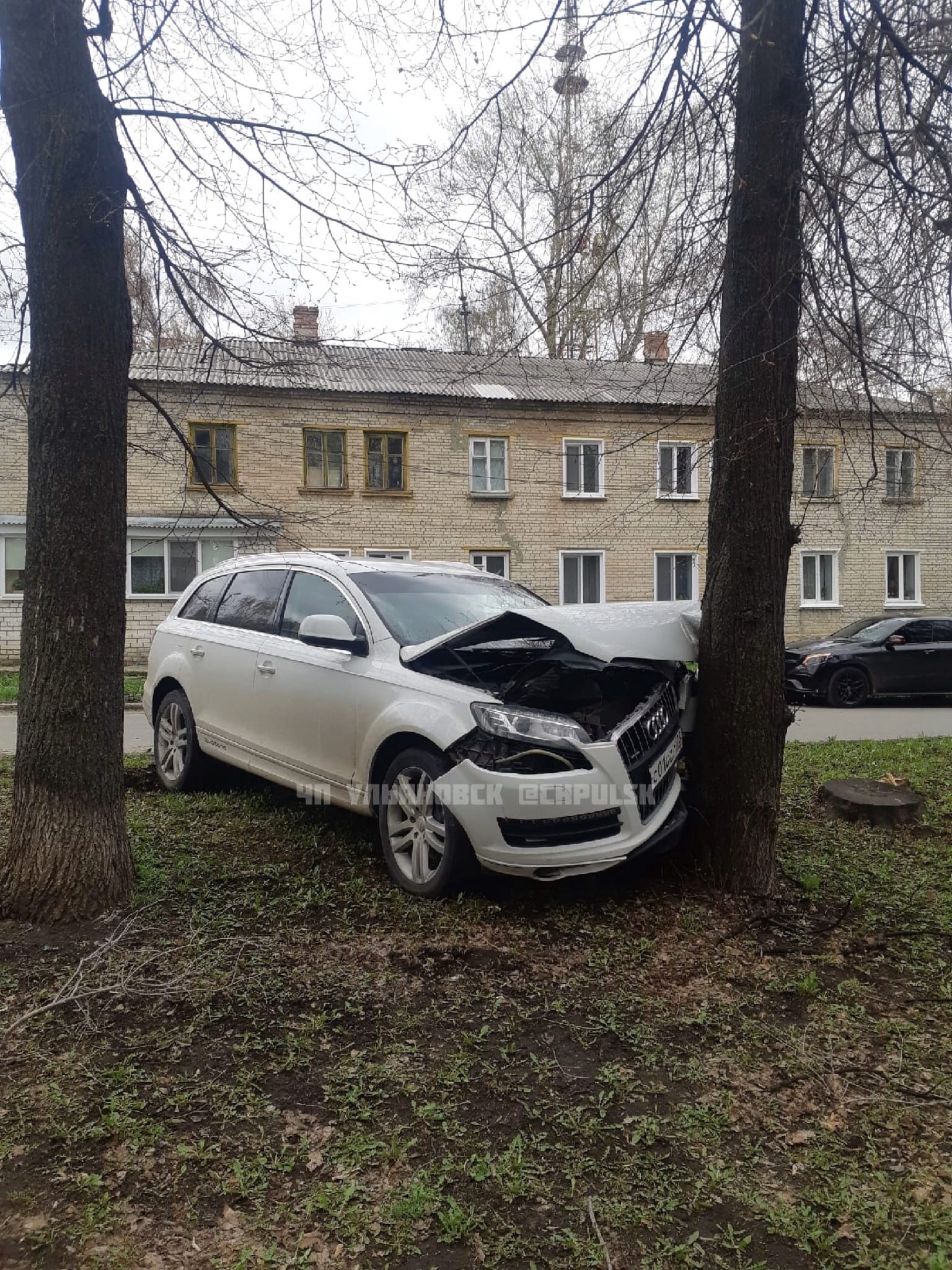 Водитель Audi Q7 врезался в дерево на Ватутина: фото Улпресса - все новости  Ульяновска