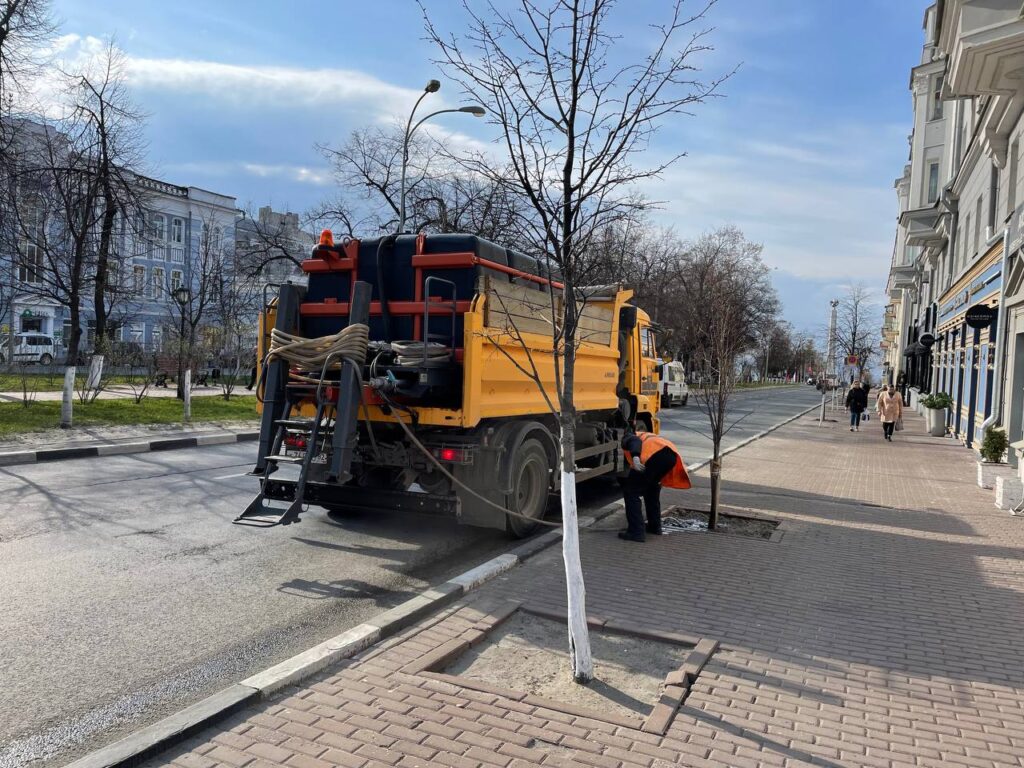 Влаги достаточно”. В Администрации пояснили, почему на Гончарова поливают  только избранные деревья: фото Улпресса - все новости Ульяновска