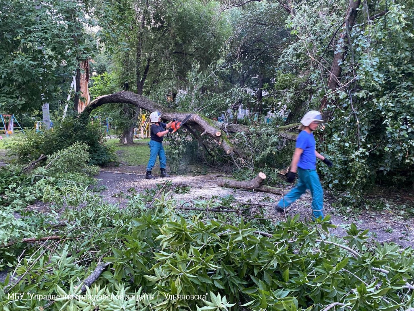Порыв разъяренного ветра. Сломанное дерево в городе. Ветер повалил деревья. Сильный ветер в Ульяновске. Дерево упало на частный дом.