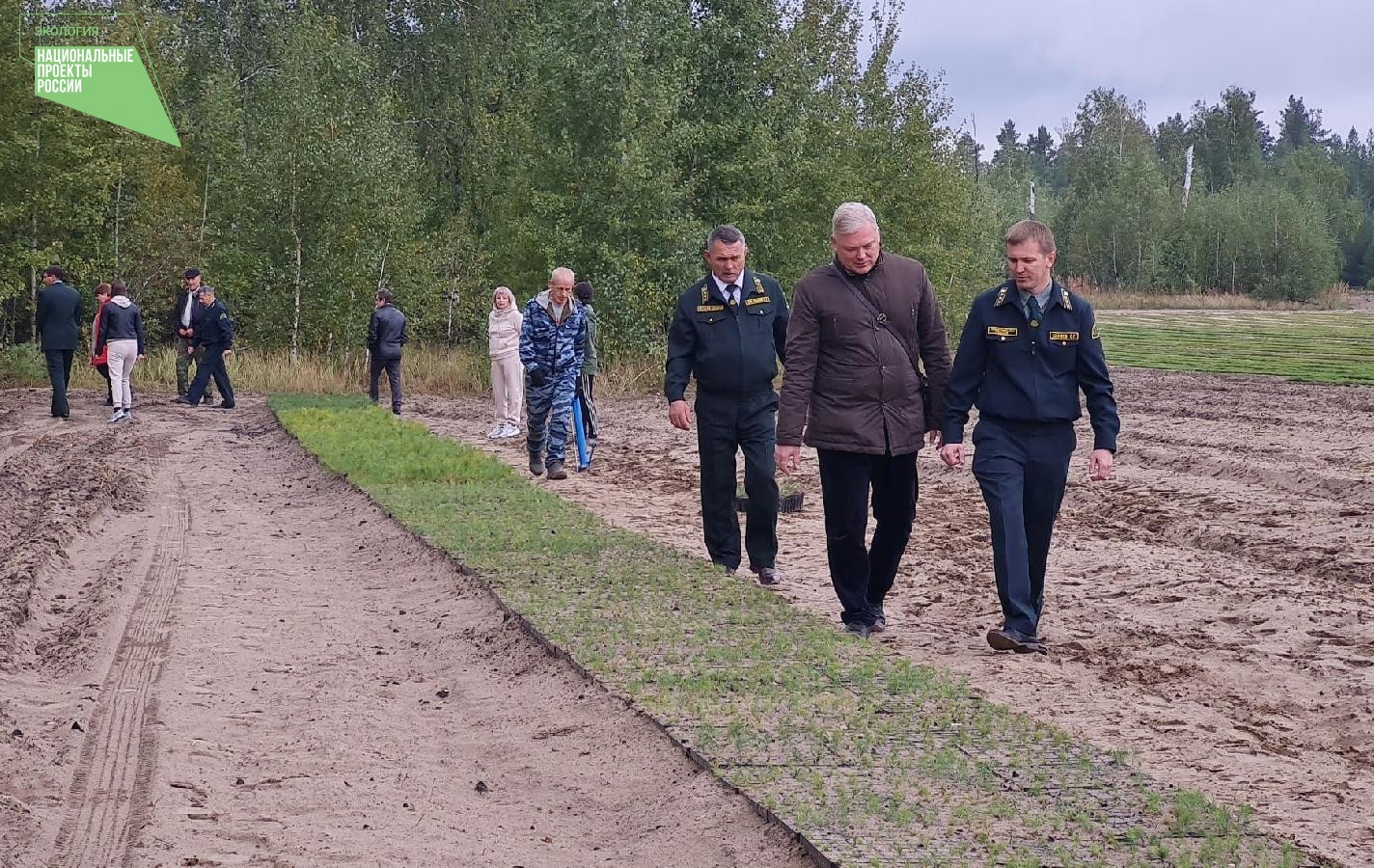 В Новоспасском лесничестве вырастили сеянцы с высокой приживаемостью: фото  Улпресса - все новости Ульяновска