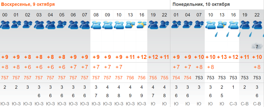 Осадки в октябре. Что такое осадки в погоде. Погода 8 октября и 9 октября.