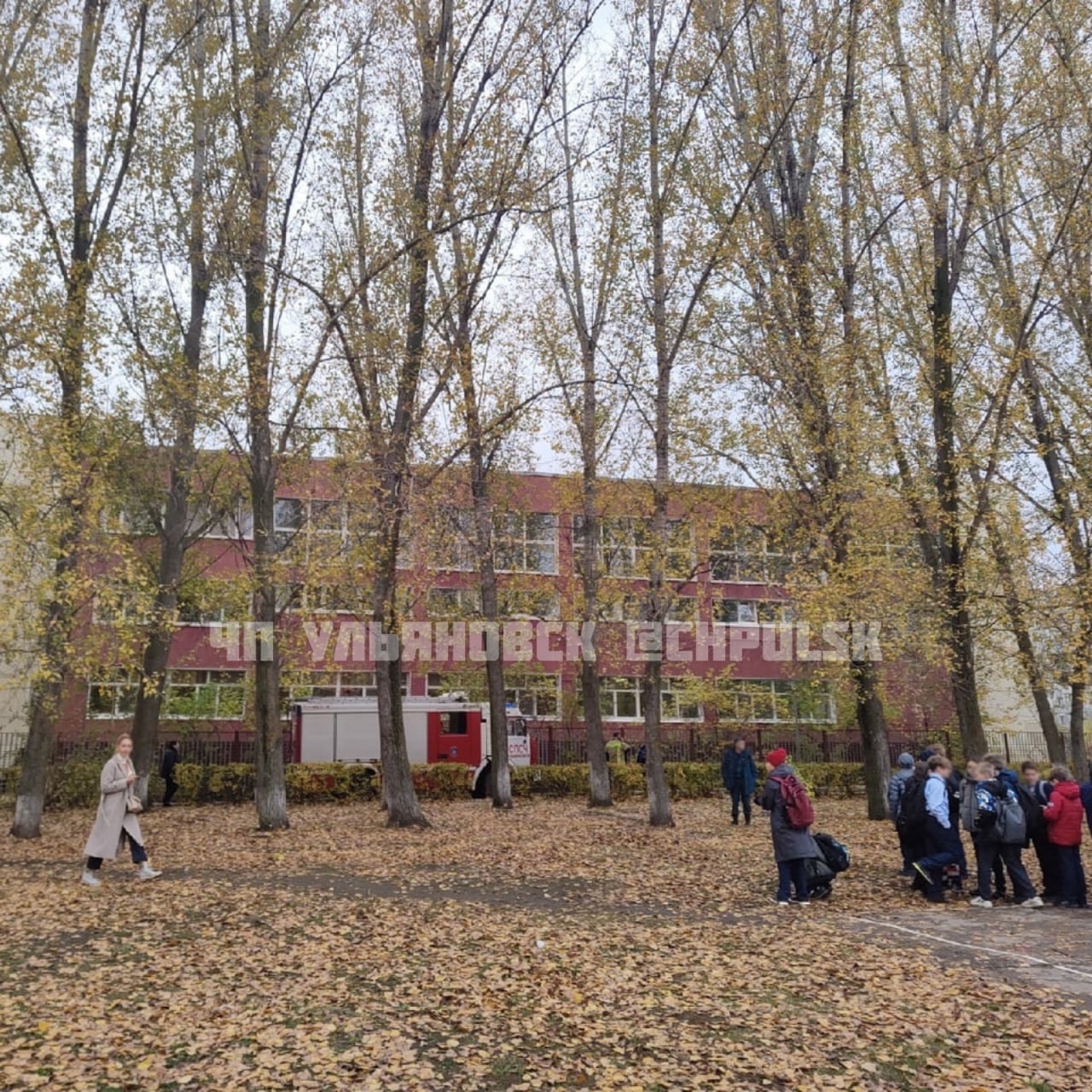 50 Школу заминировали Ульяновск