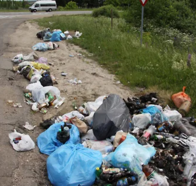 Штраф до 200 тысяч рублей. Для наказания за выброс мусора из автомобиля ...