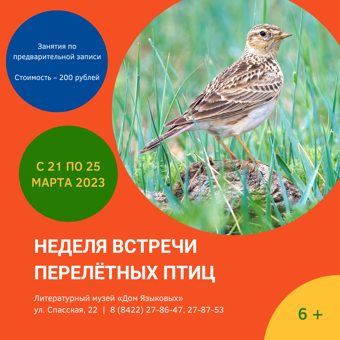 Неделя встречи перелётных птиц Улпресса - все новости Ульяновска