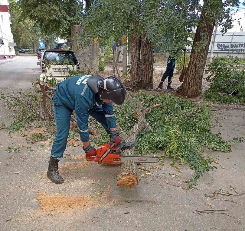 Карла маркса 101 сарапул фото