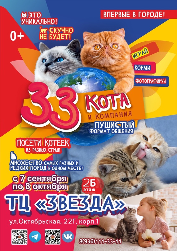 33 Кота И Компания Владимир Цена