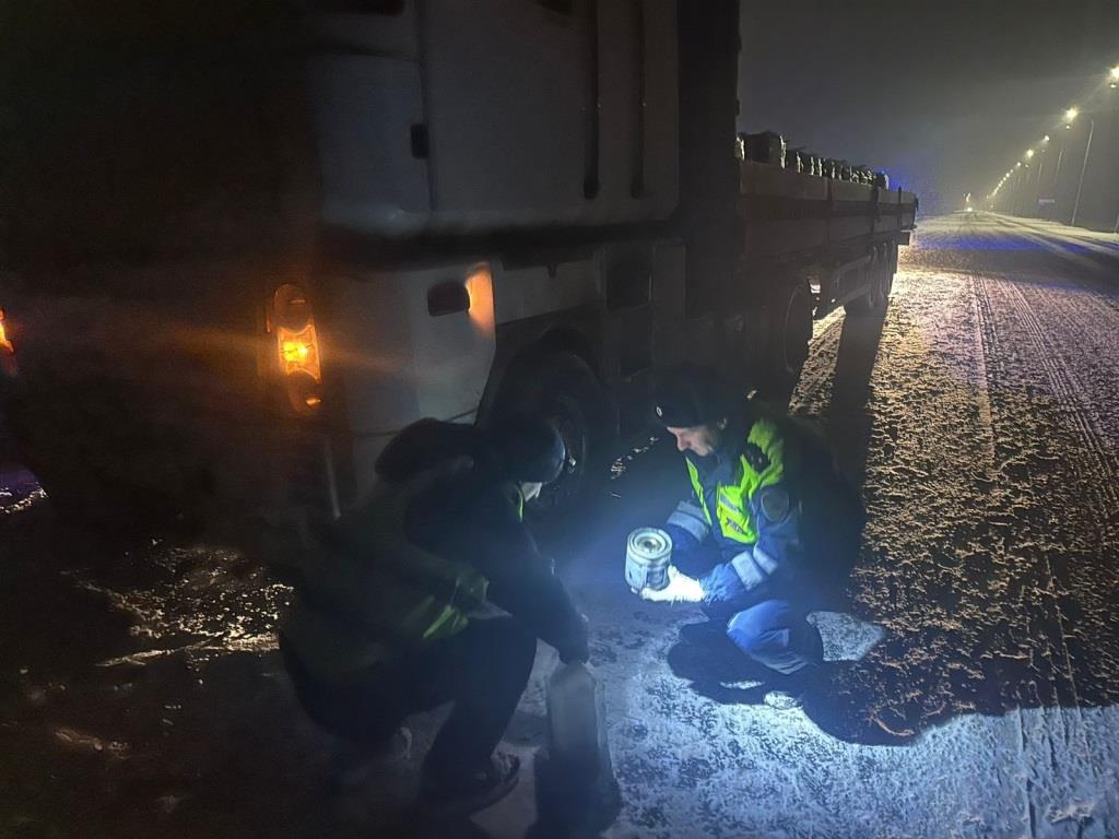 Сотрудники регионального ГИБДД помогли водителям, застрявшим на дороге в  непогоду: фото Улпресса - все новости Ульяновска