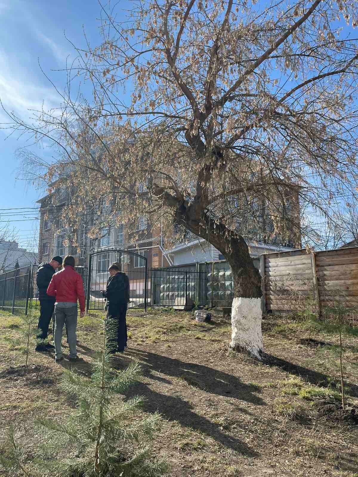 Пилите, Валерий, пилите”. Городские власти спустя четыре года исполнили  постановление Панчина – демонтировали ворота на Гончарова, 56 Улпресса -  все новости Ульяновска