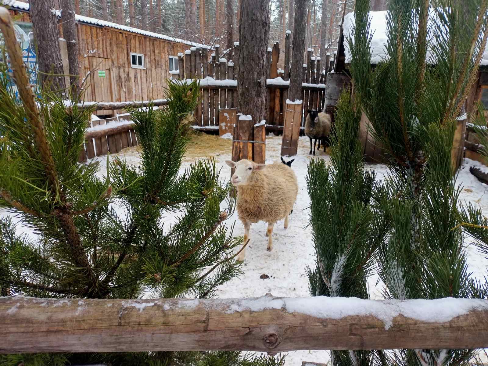 ооо стиму ульяновск фото 1