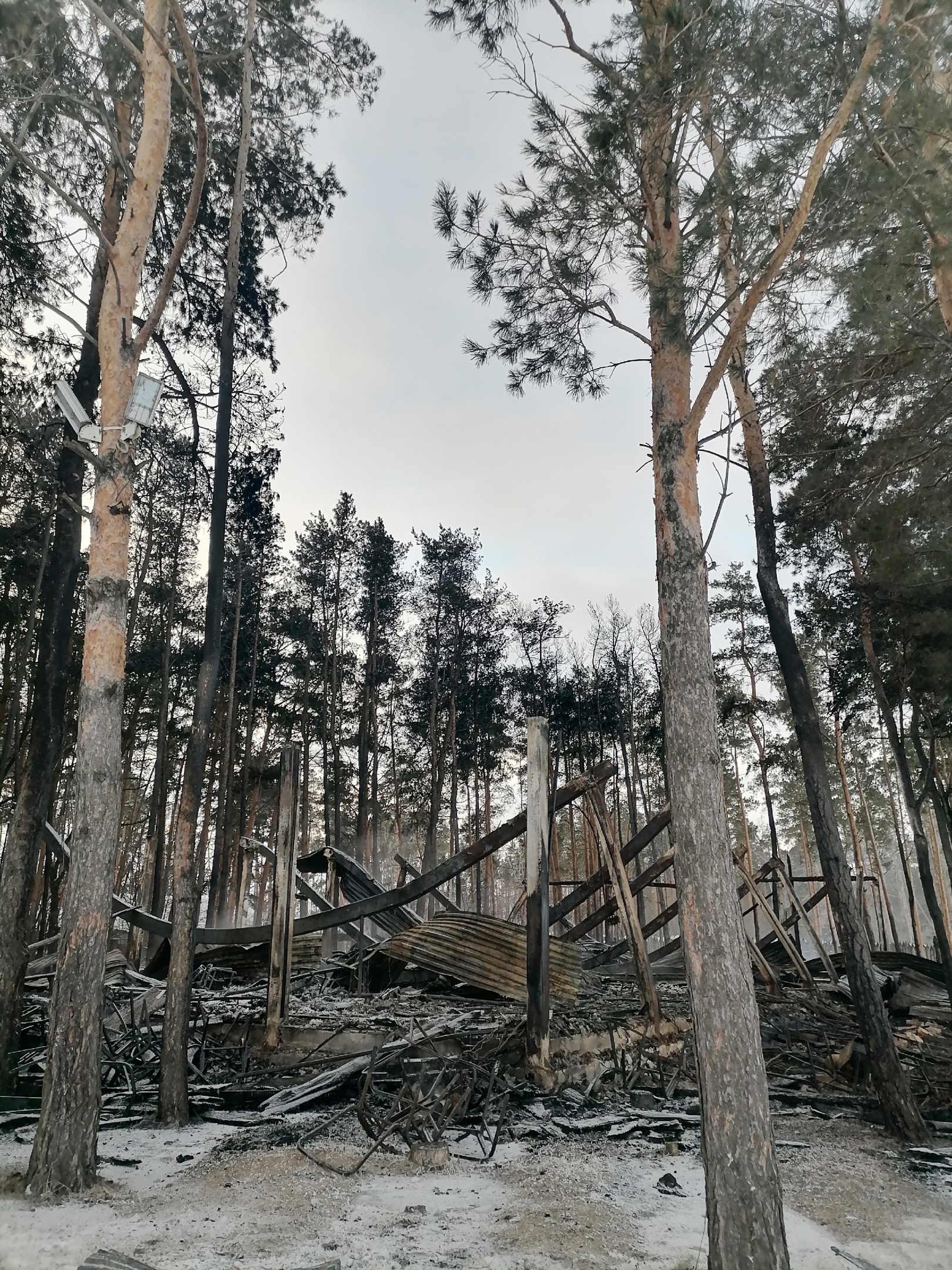 Ущерб – на копейки». Владелец «Архангельской слободы» Долгановский  рассказал об инциденте на турбазе Улпресса - все новости Ульяновска