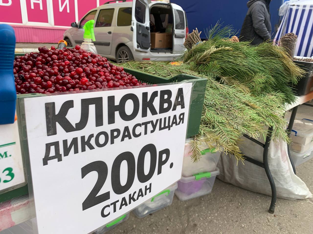 В Засвияжье развернулась сельскохозяйственная ярмарка: фото Улпресса - все  новости Ульяновска