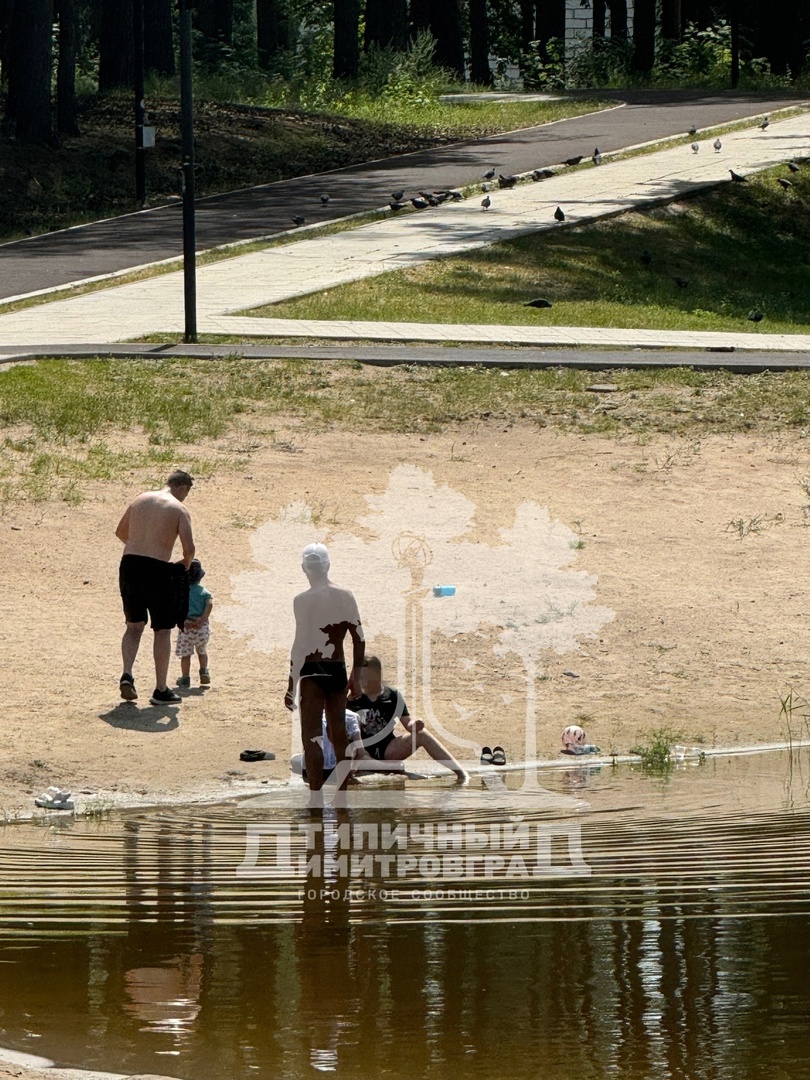 Тонувшую девочку спасли на озере в Димитровграде Улпресса - все новости  Ульяновска