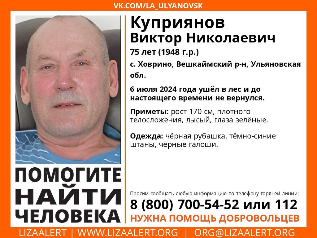 В Ульяновской области собирают добровольцев для поиска в лесу 75-летнего  мужчины Улпресса - все новости Ульяновска