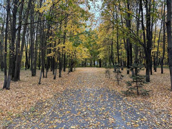 Молодежь эстетик фото. Запущенная молодежь. Рсм разные смелые молодые. Запущенная молодежь. Запущенная молодежь.