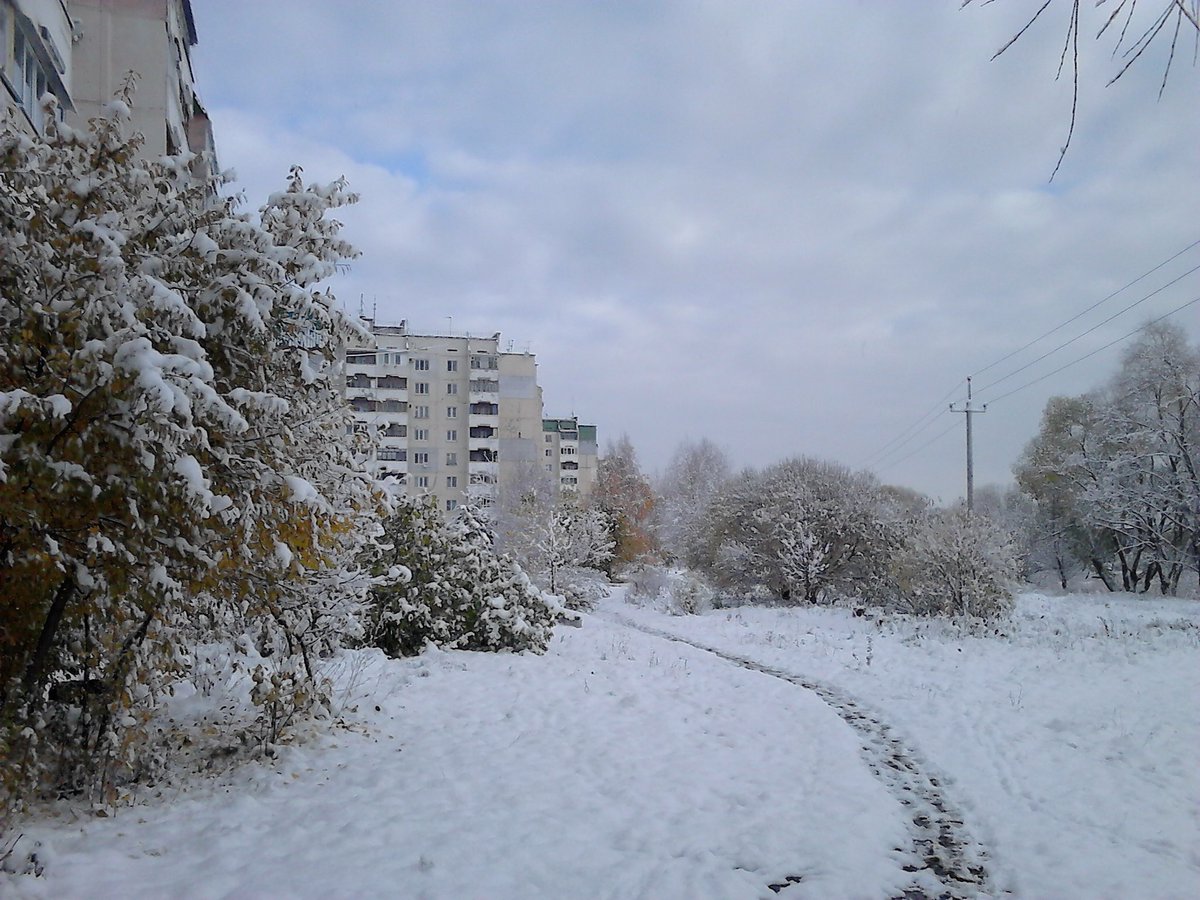 Погода в димитровграде года димитровграде