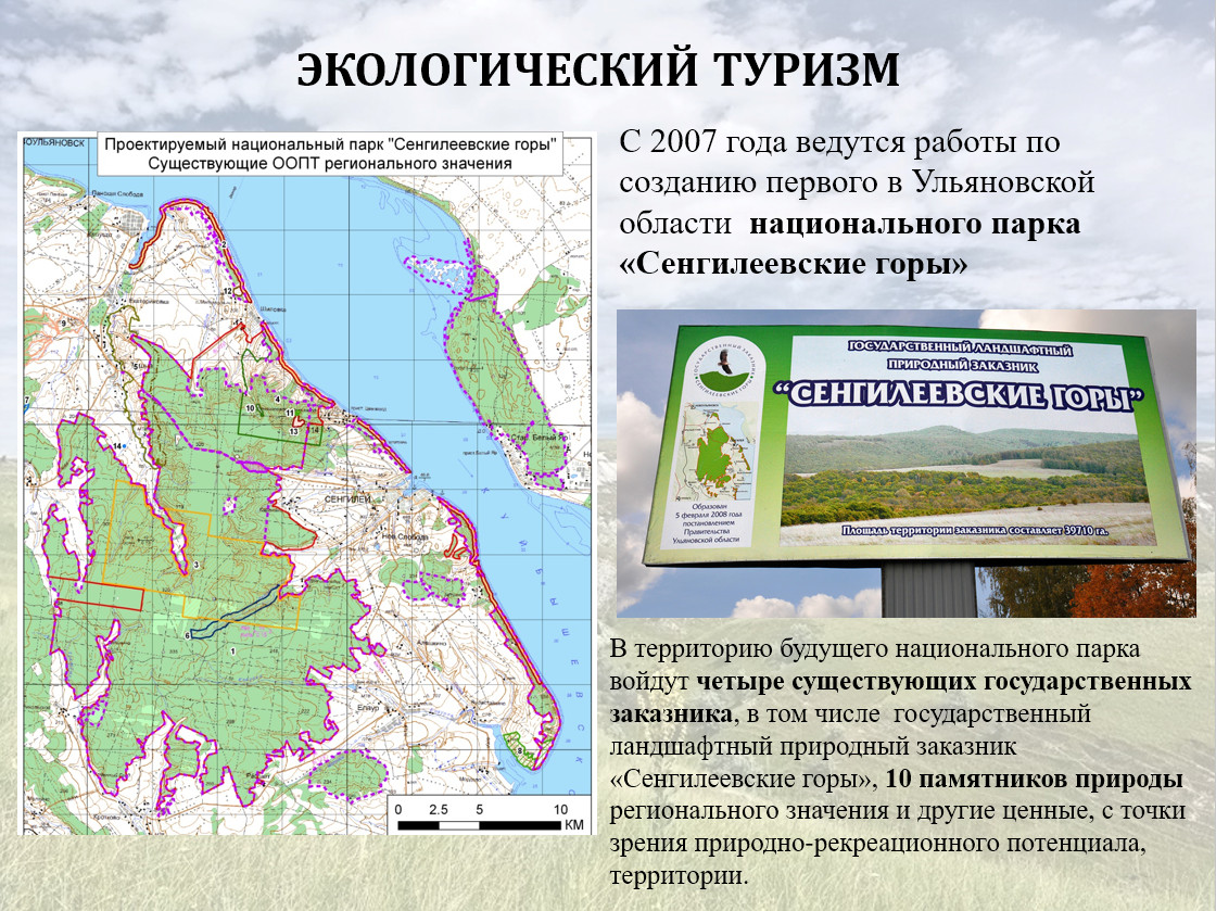 Заказник сенгилеевские горы